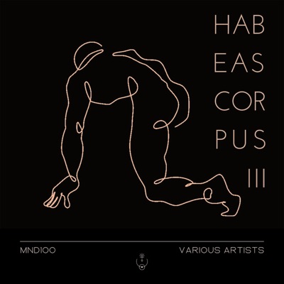 Habeas Corpus 3