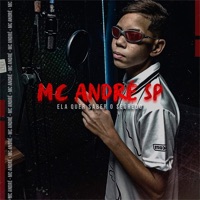 Ela Quer Saber o Segredo - Single - Mc André SP