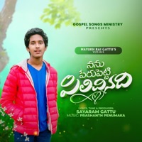 Nanu Peru Petti Pilichinadi (feat. Mayukh Raj Gattu) - Single - Sayaram Gattu