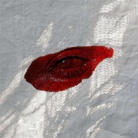 SON of SAINT (feat. euphorick) - Single - Esco da Demigod