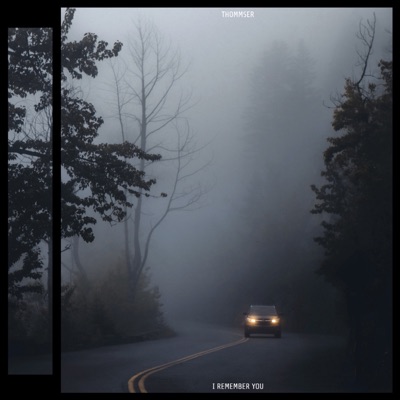 I Remember You - Single