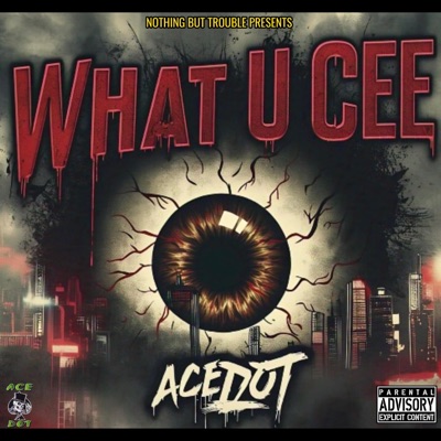 What U Cee (feat. Ace Dot) - Single