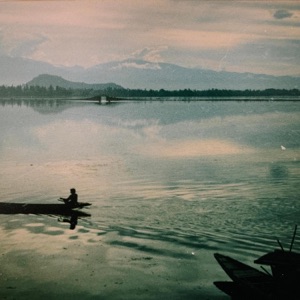 Surface - Single