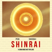 SHINRAI (feat. Shodai) - Single - PE8