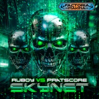 Skynet (Short Edit) - Single - Ruboy & Pratscore