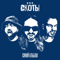 синий альбом - скоты