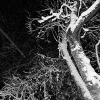 SPIRAL - Single - SARM?