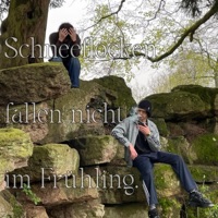 Schneeflocken fallen nicht im Frühling (feat. rickrabauk) - Single - Roselin
