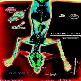 STOMACH PUMP RAVEN.