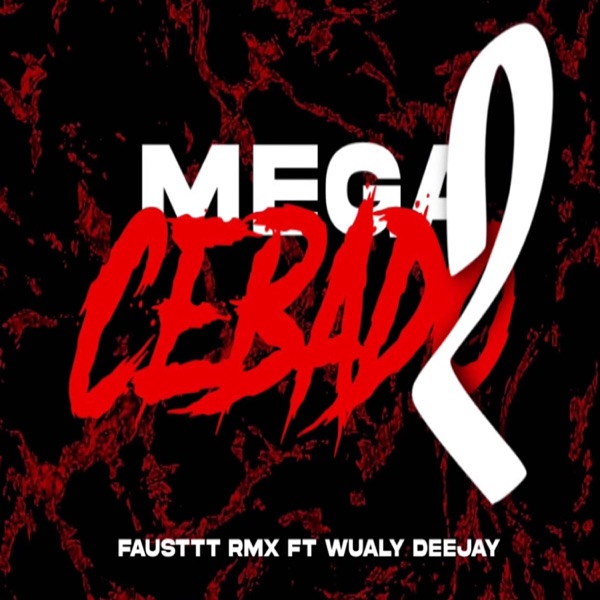 Mega Cebado 2 (feat. Wualy Deejay)