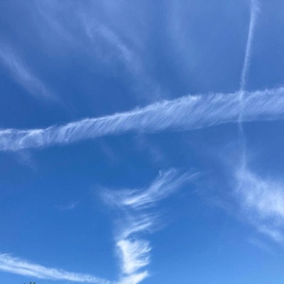 The Silence Within - Single