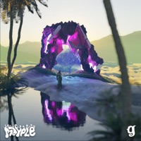 Temporal Oasis - Single - grapesoduh & Mayple