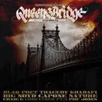 Queensbridge to the Hague City - Mistasweet