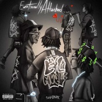 Emotionally Attached - 1luh2hark