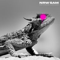 Esteban Leguan - Single - NRW Sam