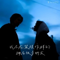我不在装模作样的拥有很多朋友 - Single - 萱子 & 环宇月