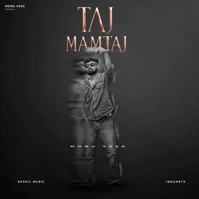Taj Mamtaj (feat. Shxkil) - Single