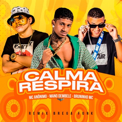 Calma Respira (Remix Brega Funk) - Single