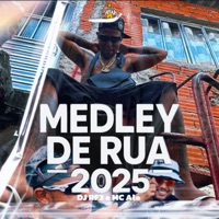 Medley de Rua 2025 (feat. MC Alê) - Single - DJ RF3