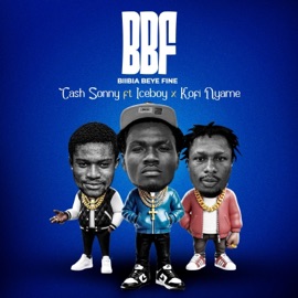 Bbf(Biibia Beye Fine) [feat. Iceboy IBM & KOFI NYAME] Cash Sonny
