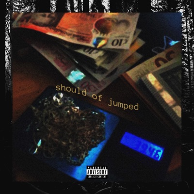 should of jumped - Single