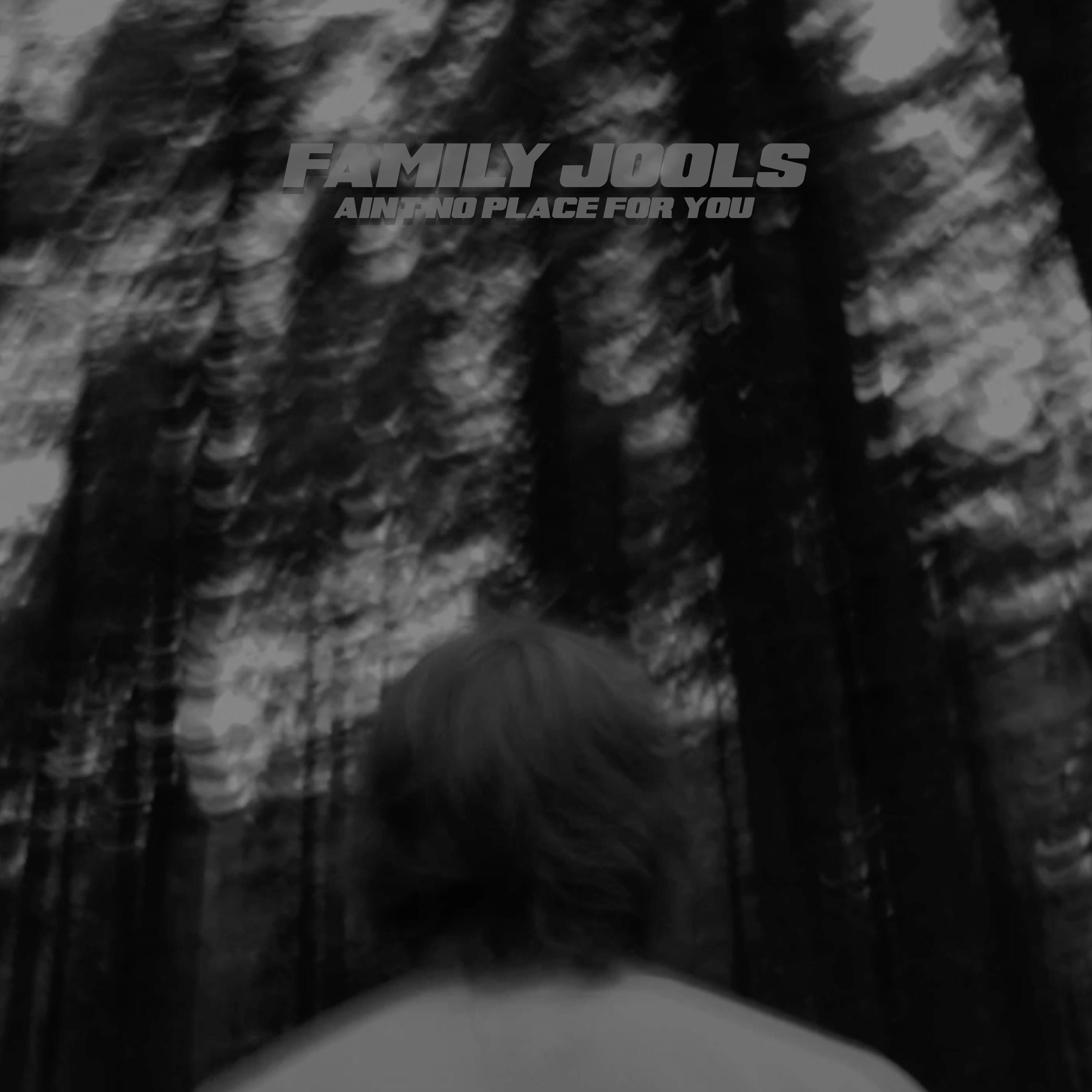 Ain't No Place For You - Single