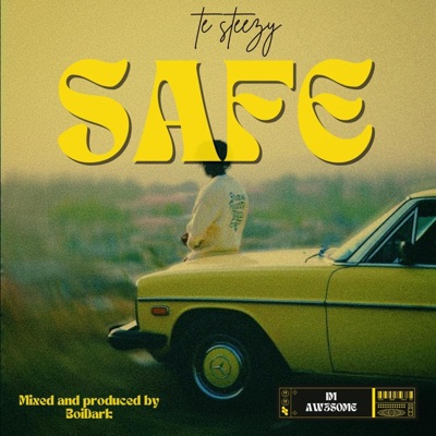Safe - Single