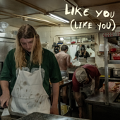 Like You (Like You)