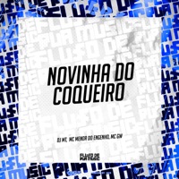 Novinha do Coqueiro - Single - DJ MT, Mc Menor do Engenho & MC GW