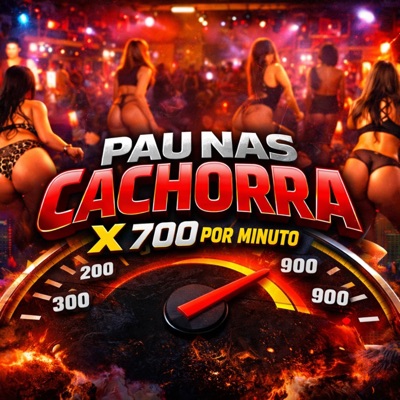 Pau nas Cachorra X 700 por Minuto (feat. DN O MAGO) - Single