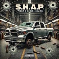 Trim 3 Chronicles - Shap