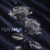 Vem Amor - Single - Dimmierys & DJ MV7