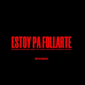 ESTOY PA FOLLARTE