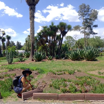 El regreso de Inkarri (feat. Kaminador & Jonhy Miranda) - Single