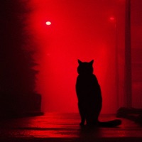 DARK NIGHT - Single - Rihanno