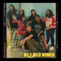 I Do It For Hip Hop (feat. MC Mahila, HashtagPreeti, Krantinaari, Pratika & Demyth) - Single - Wild Wild Women