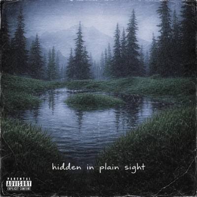 hidden in plain sight - EP