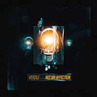 Not My Affection - Single - Vertile