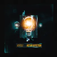 Not My Affection — Vertile