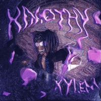 HIMØTHY - Single - Xylem