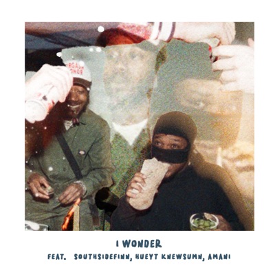 I Wonder (feat. Amani) - Single