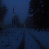 fogward - Single - nleave & LXNYA