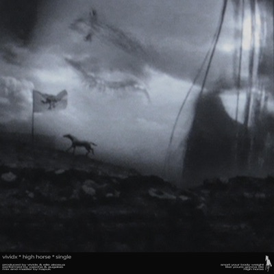 high horse (feat. Elle Akosua, VASCHA & Augalas) - Single