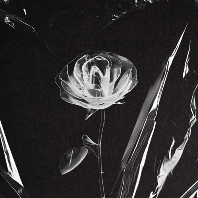 Stranger (feat. Zachary Heider) - Single