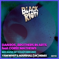Because of You (Forever) [feat. Coree Mathews] - Single - Brothers in Arts & DAN:ROS