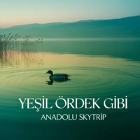 Yeşil Ördek Gibi - Single - Anadolu Skytrip