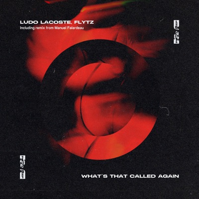 What's That Called Again - Single