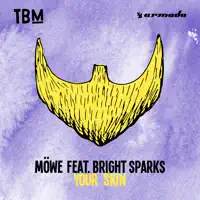 Your Skin (feat. Bright Sparks) — MÖWE