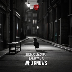 Who Knows (feat. David K) - Single