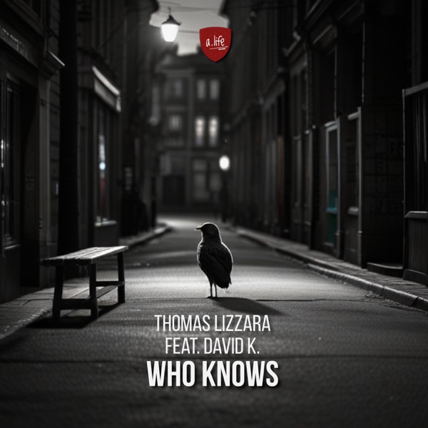 Who Knows (feat. David K) - Single